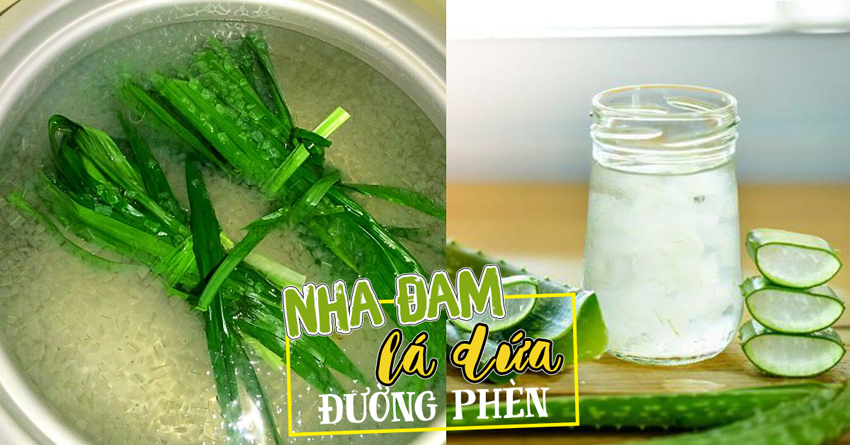 4 cách nấu nước nha đam giải nhiệt ngày hè - LAVADA